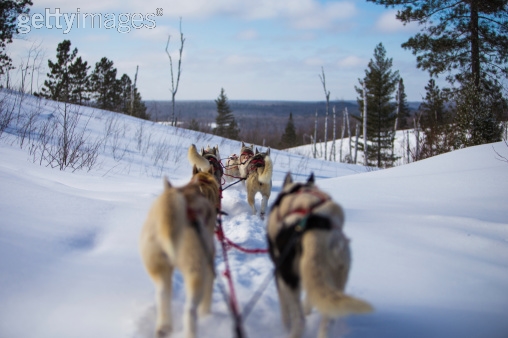 Photo by Beyond_Photos/iStock / Getty Images