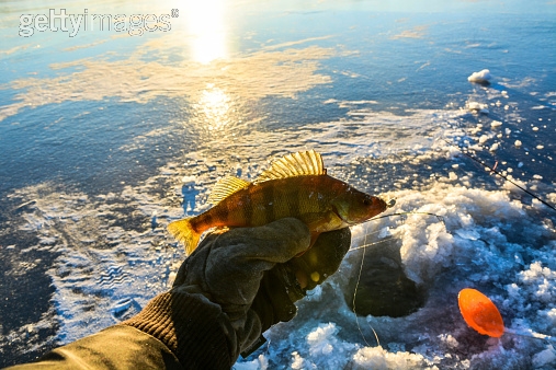 Photo by michaldziki/iStock / Getty Images