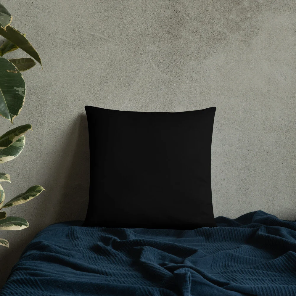 all-over-print-basic-pillow-18x18-back-lifestyle-8-6134f96458bdf.jpg