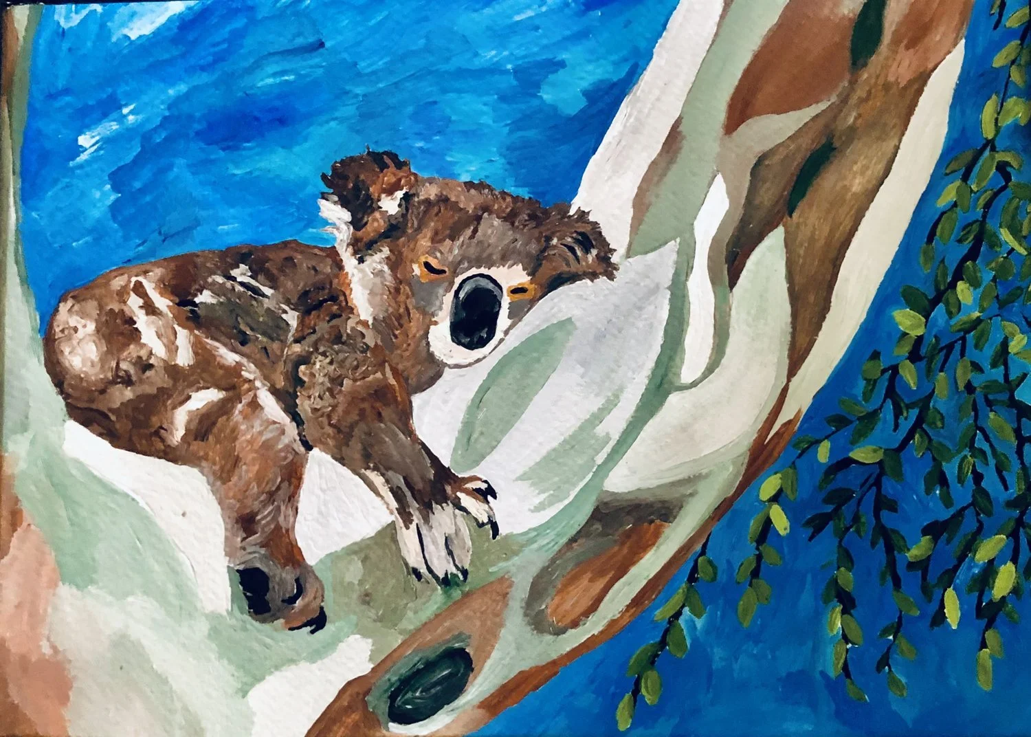 SOLD - New Koala bear