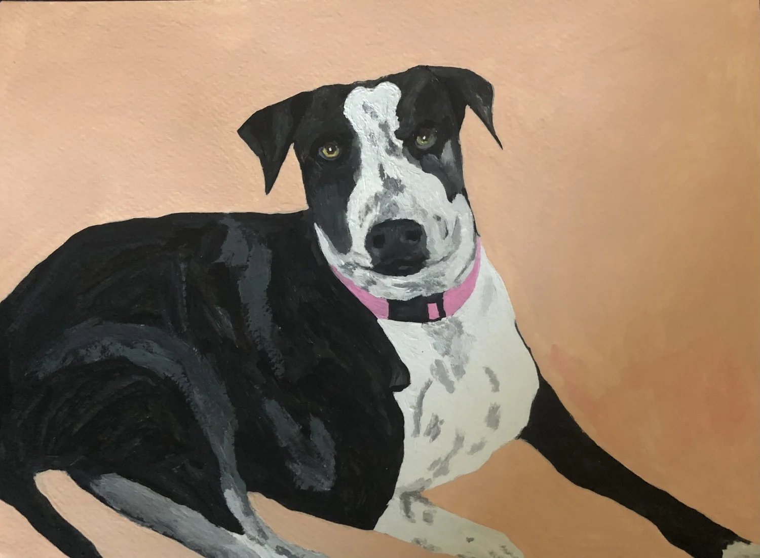 Pet Portrait - Ellie- Acrylic Painting