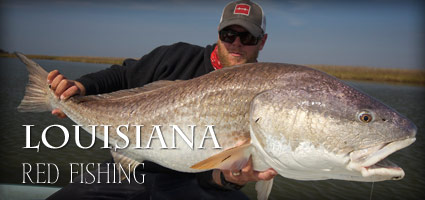 Photo source: www.louisianaflyfishing.com