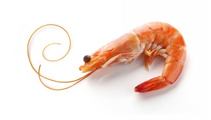 Photo source: Farmer's Almanac