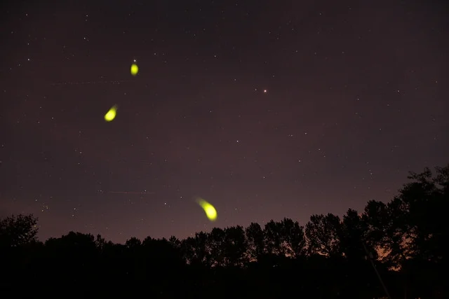 Fireflies and God and Seeing.