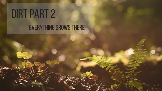 Dirt Part 2: Everything Grows There