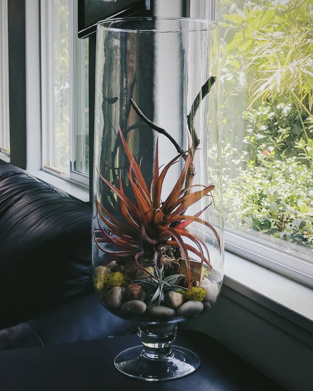 2016-10-03 05.49.13 2.jpg