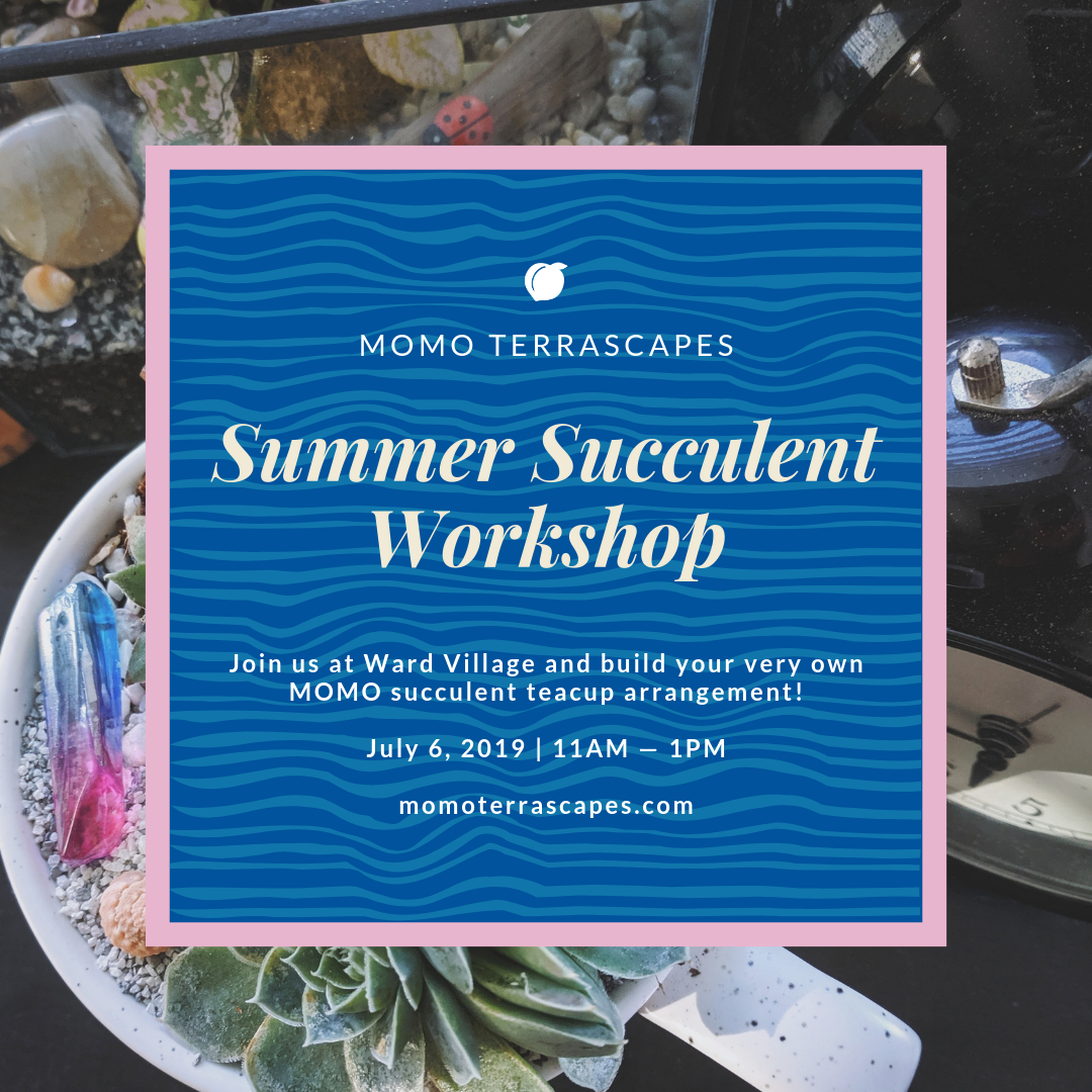 Summer Succulent Workshop