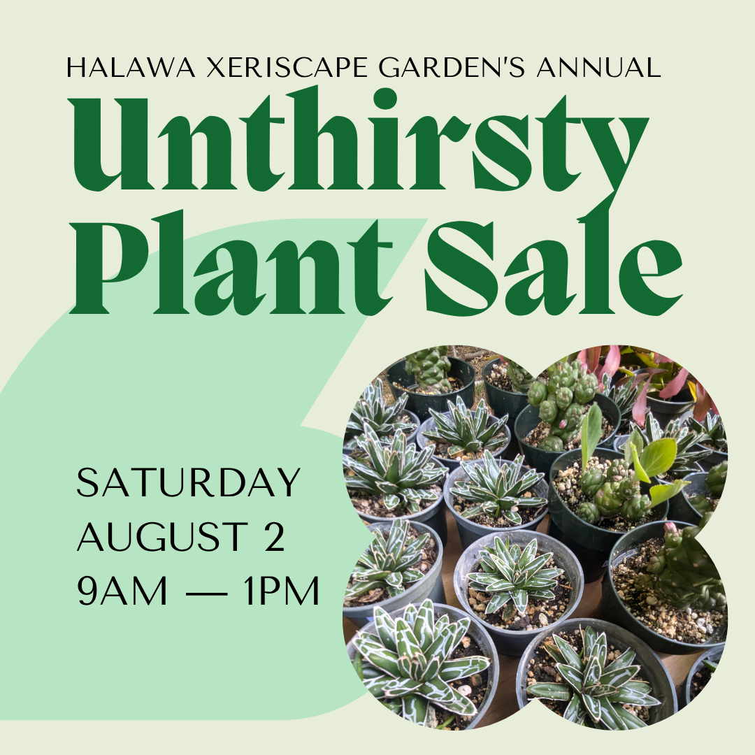 Unthirsty Plant Sale (Halawa Xeriscape Garden)
