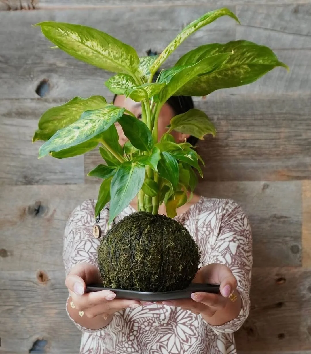 Dieffenbachia_LowRes.jpg