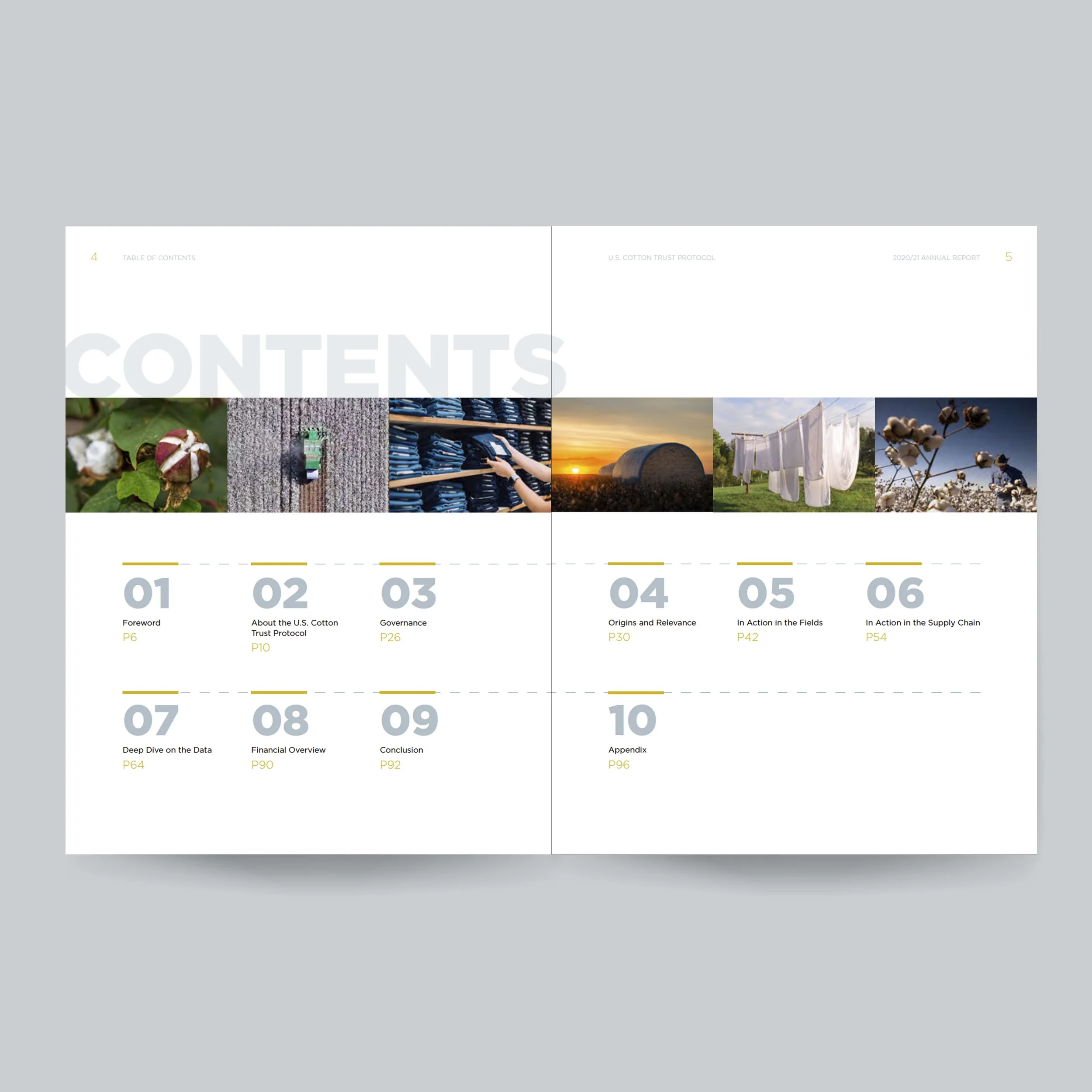 cotton-ar-toc2 (1).jpg