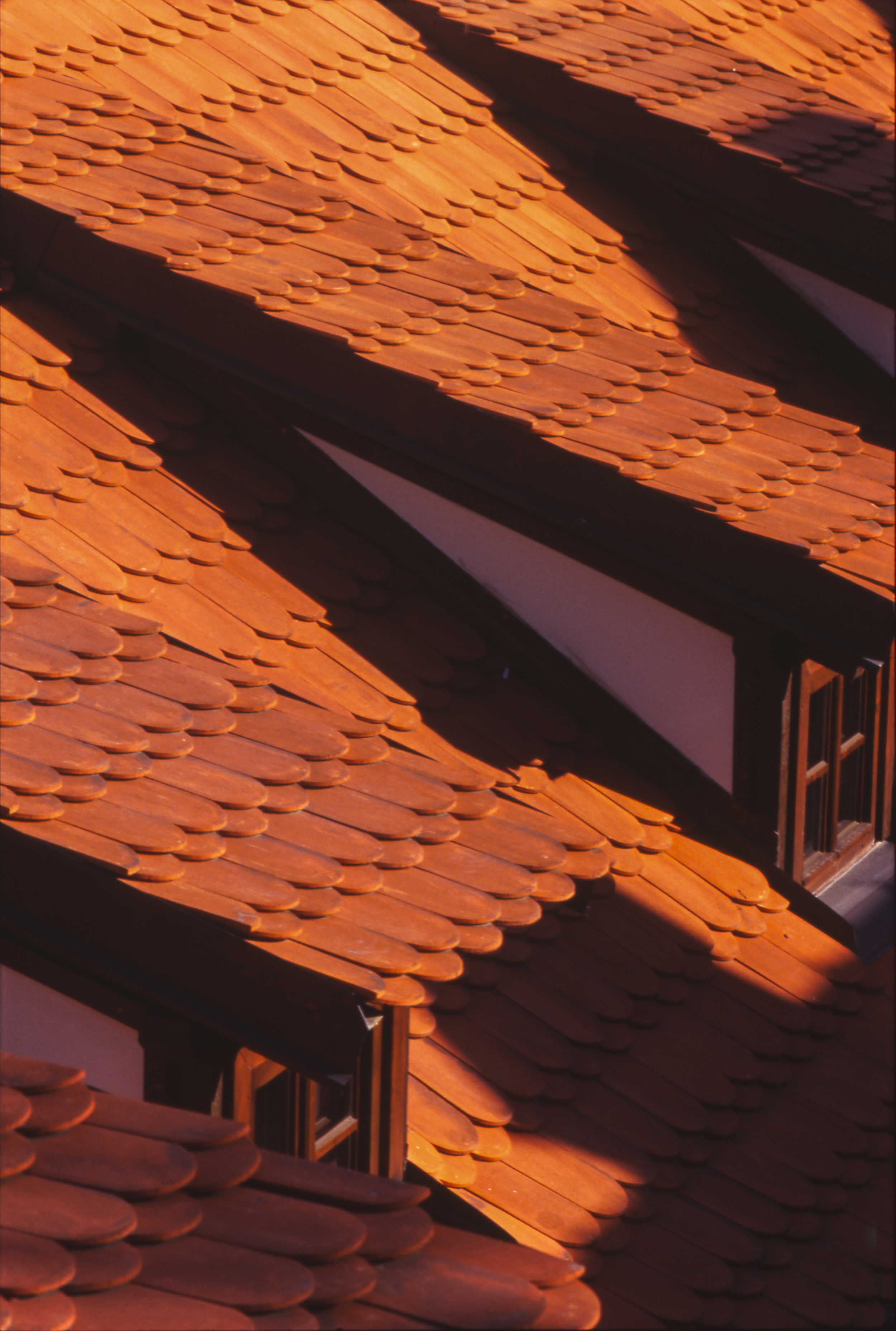 Clay Tile Roof