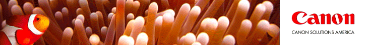 HTML5 Banner AD
