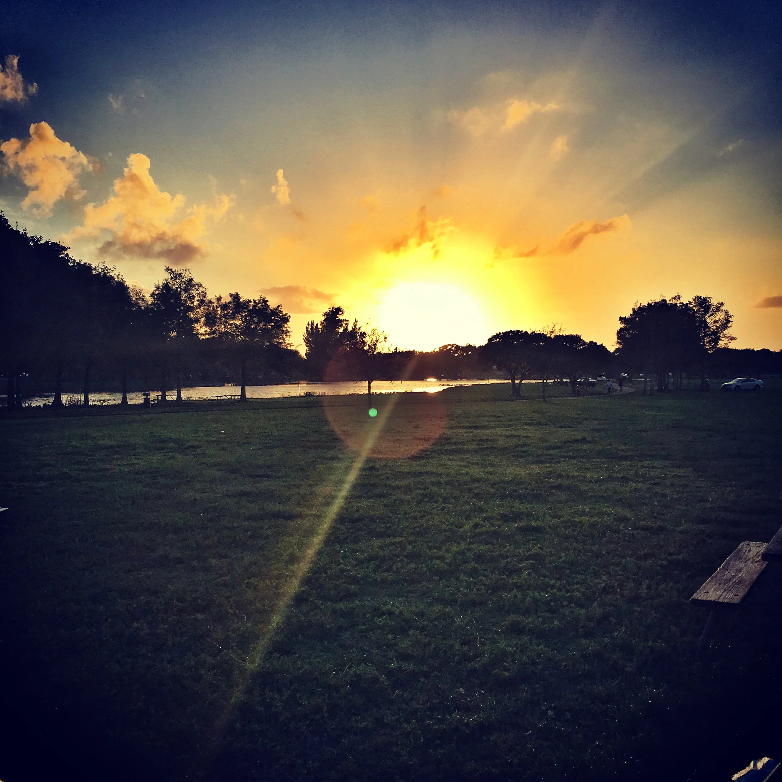 Friendship Saves Lives