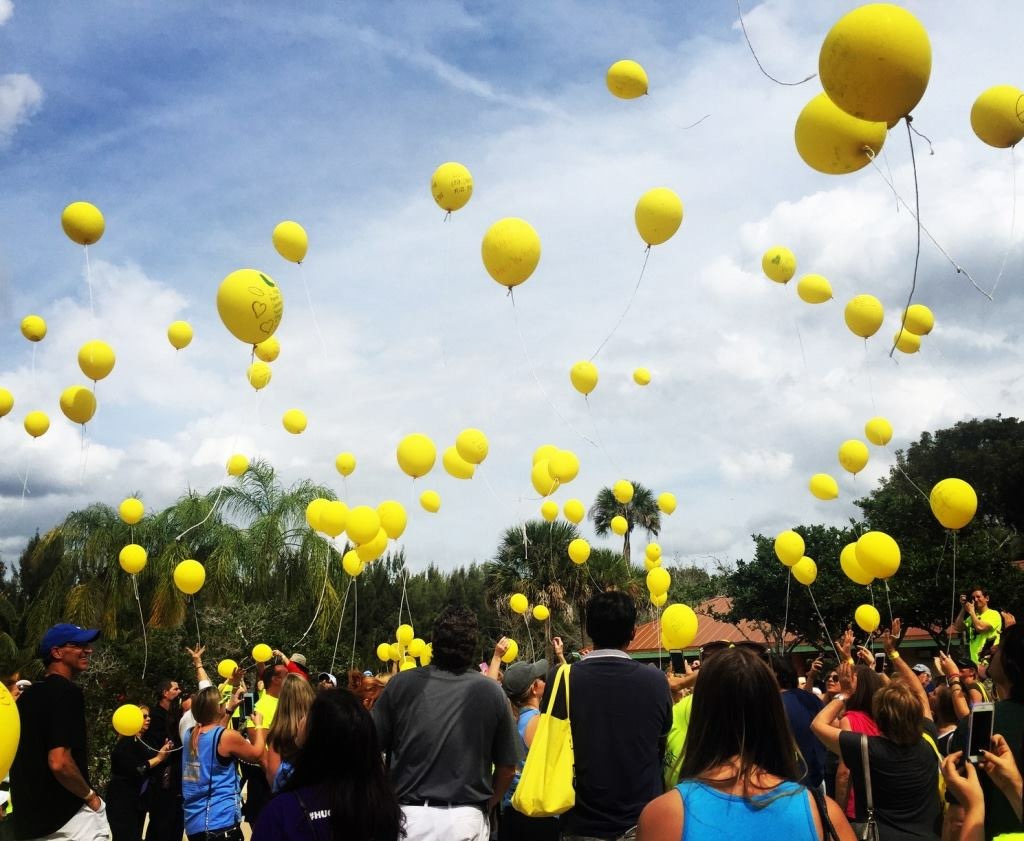 Sunshine at the Park 2018