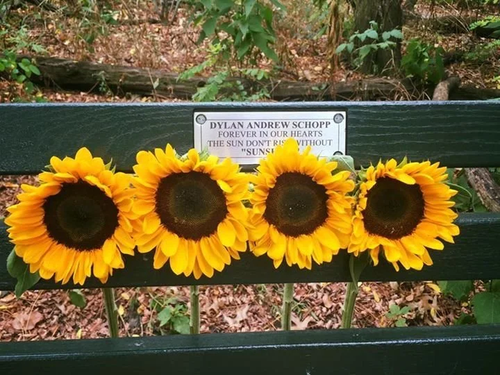 bench flowers.jpeg