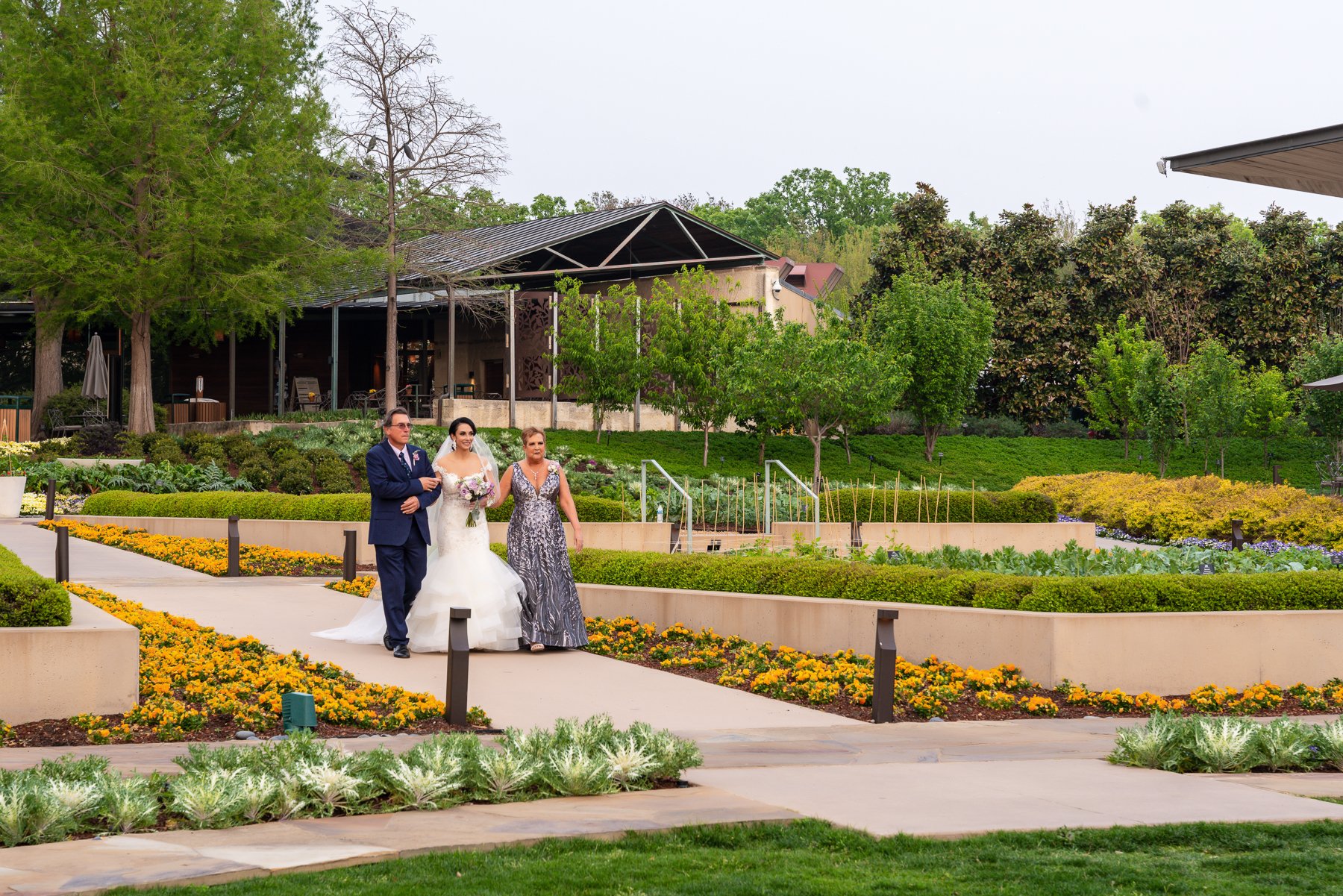 Bride walking through the gardens toward an outdoor wedding ceremony at the Dallas Arboretum in Dallas.