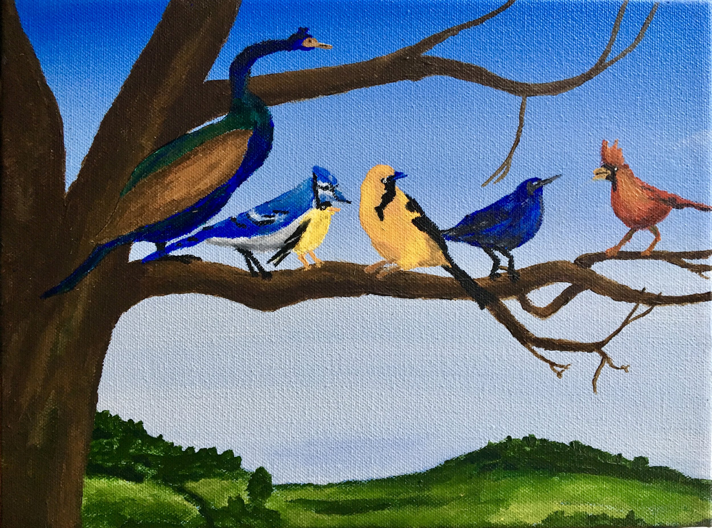Terry's Birds