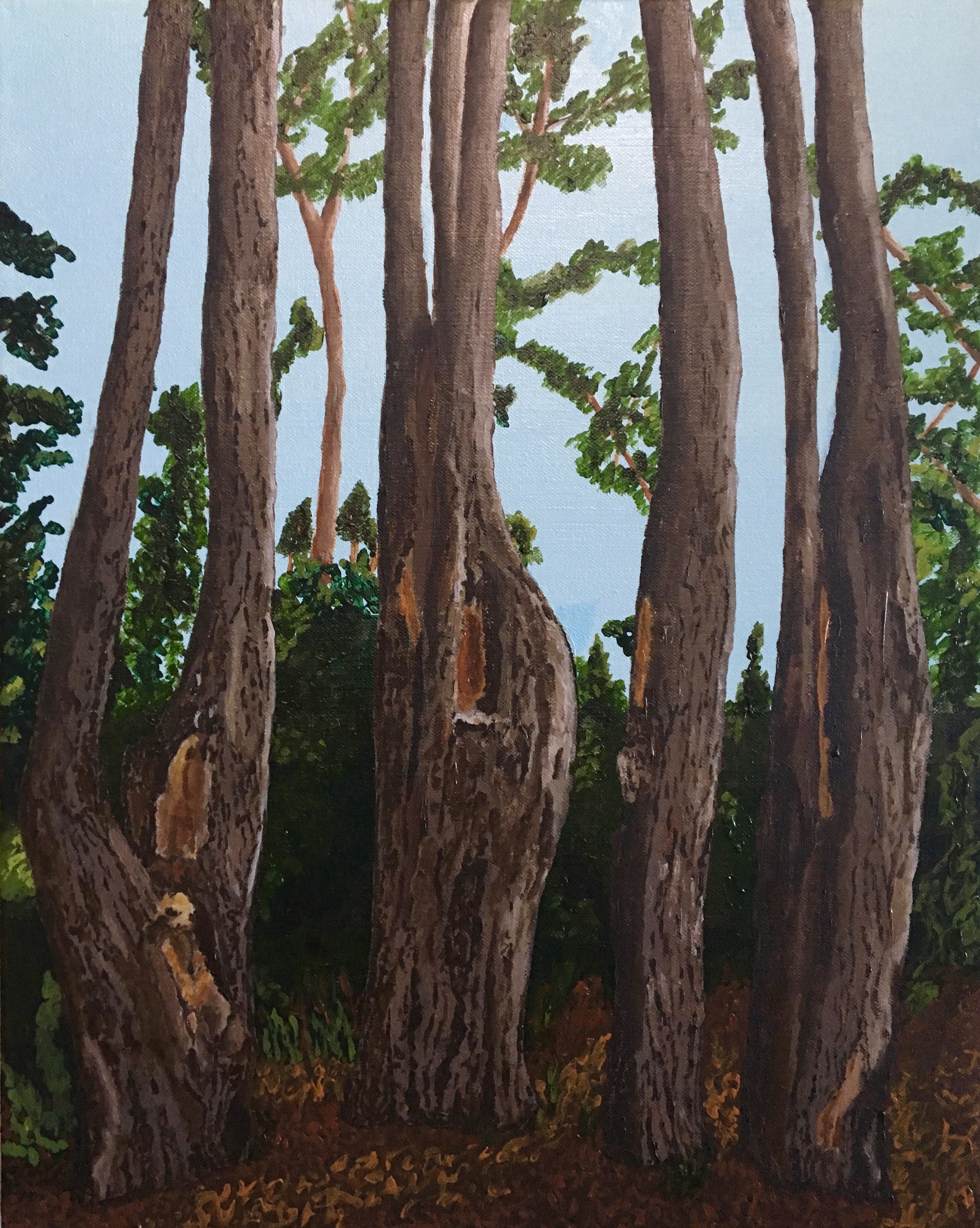 Cedar Quartet