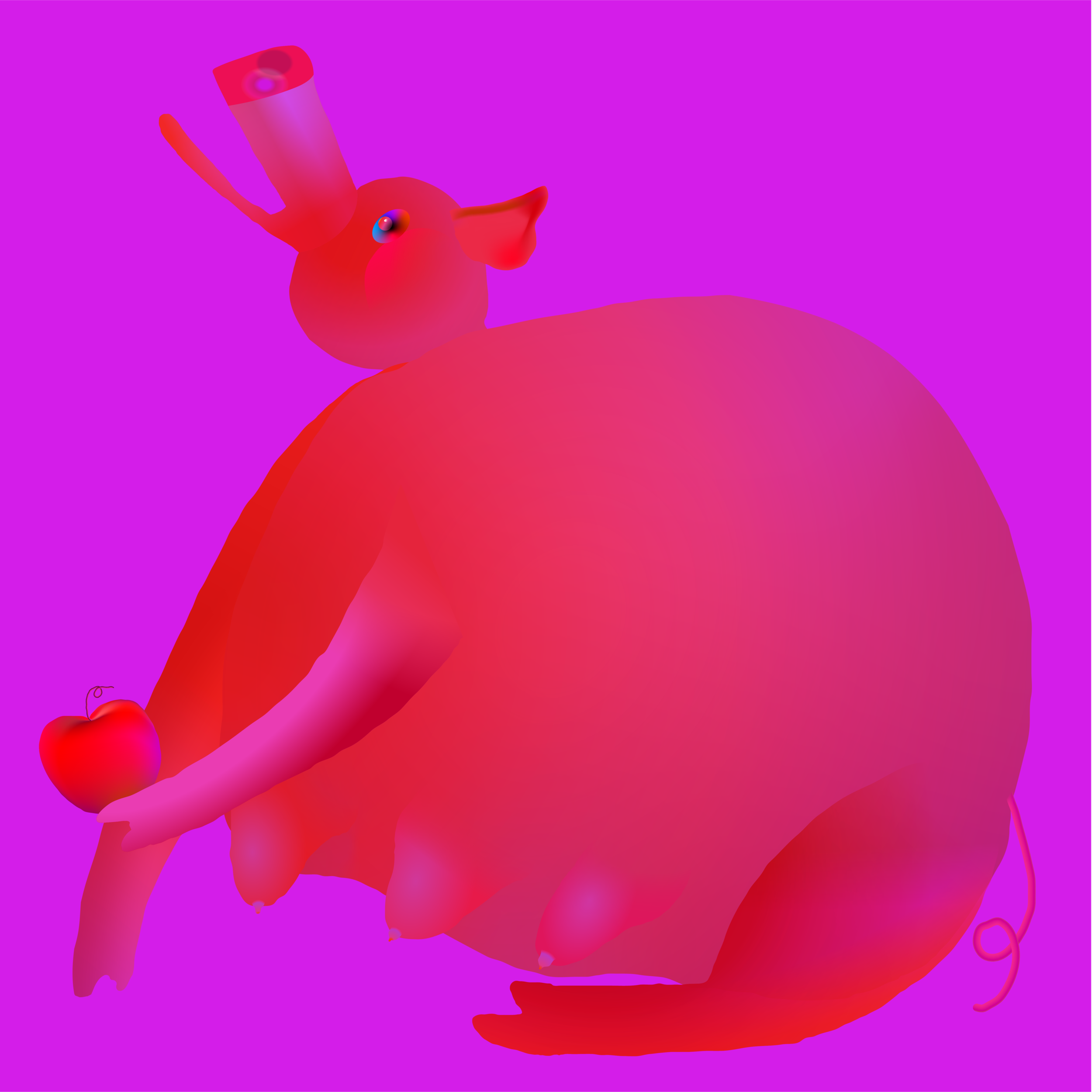 Year of the Pig