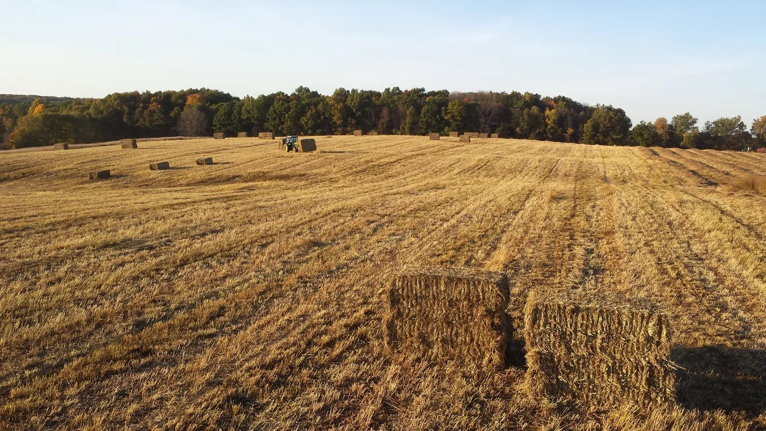 Biofuel Harvest