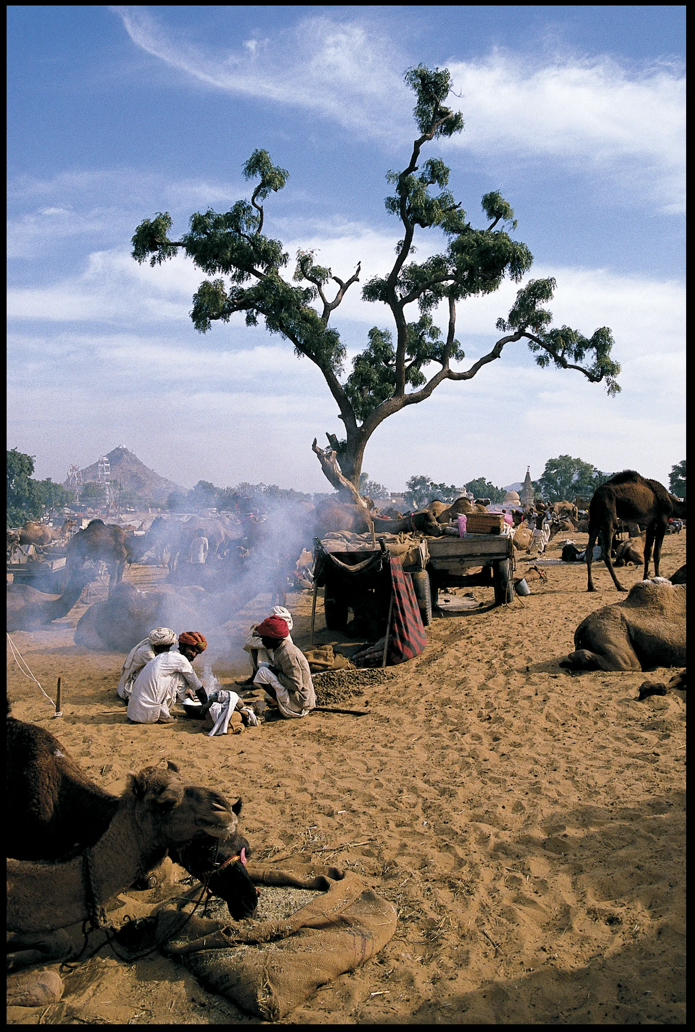 Pushka Camel Festival, India 1989 photo Frank Habicht