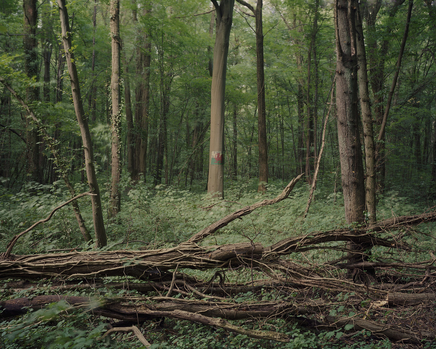 FMP Aled Hughes Peer Review LO5 LO6 LO7