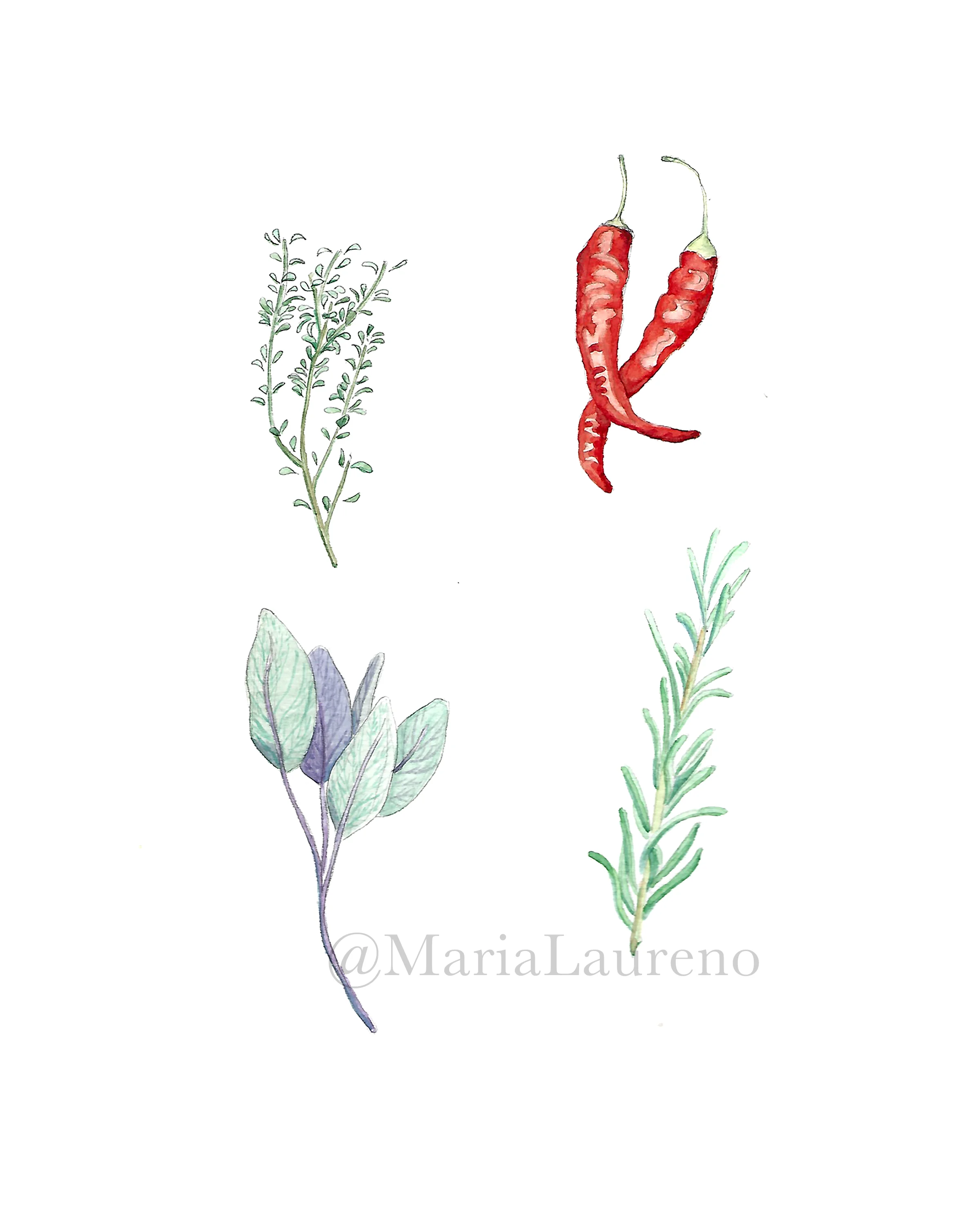 herbs.jpg