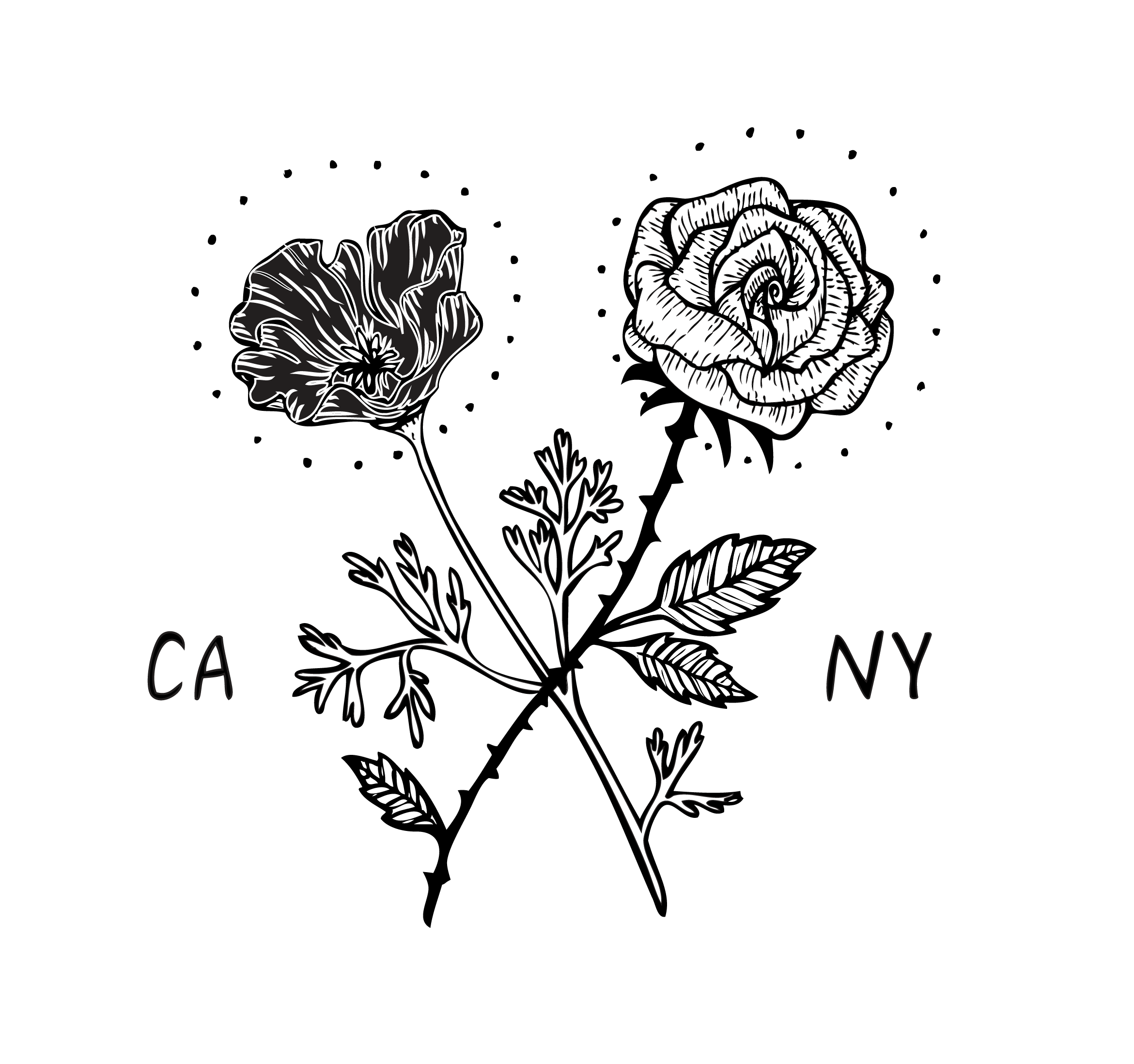 coast to coast color-01-01.png