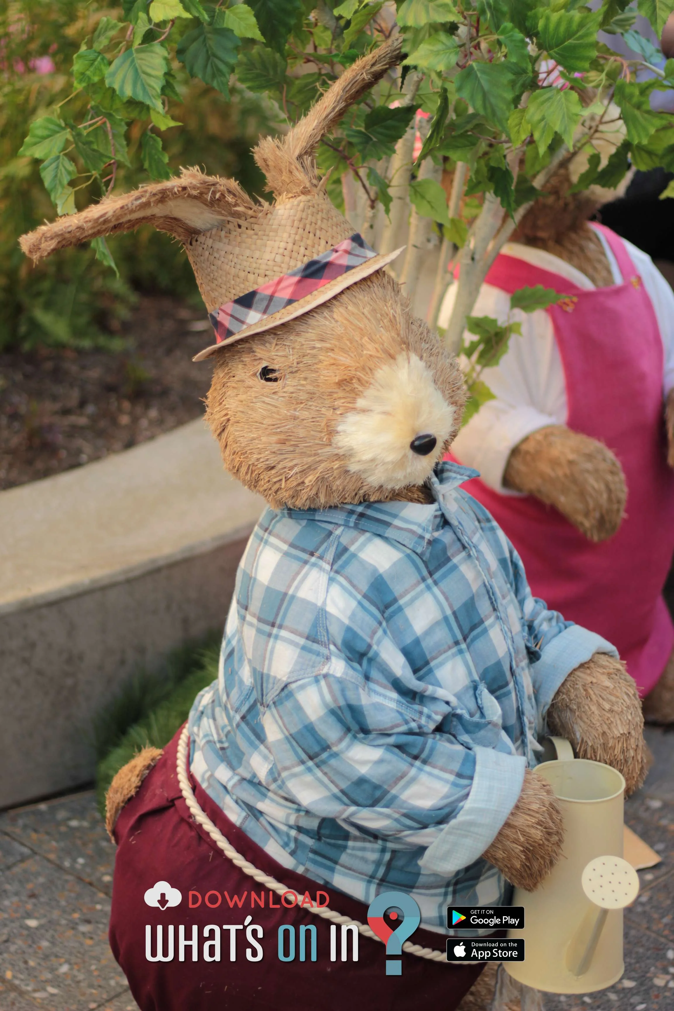 Mad Hatter's Twilight Markets, Launceston, Tasmania 2016 - What's On In App 025 IMG_8465.jpg