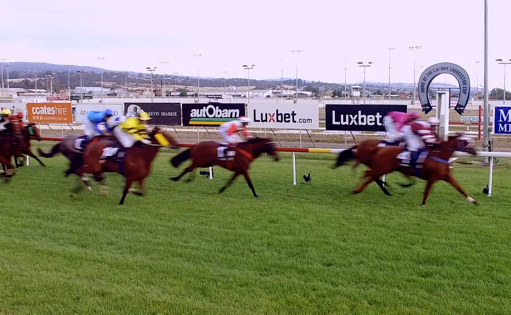 Launceston Cup Carnival 2017 | Magic Millions Race Night