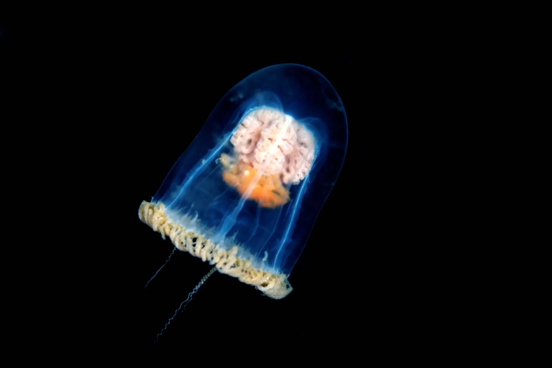 DSC_2480_DxO.jpg