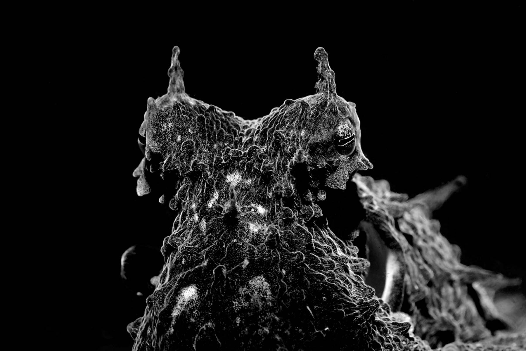 DSC_3033_DxO1.jpg