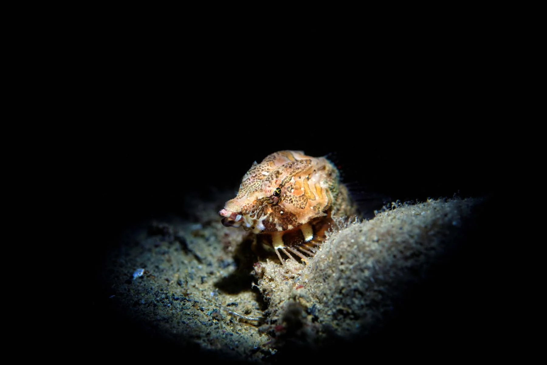 DSC_3193_DxO.jpg