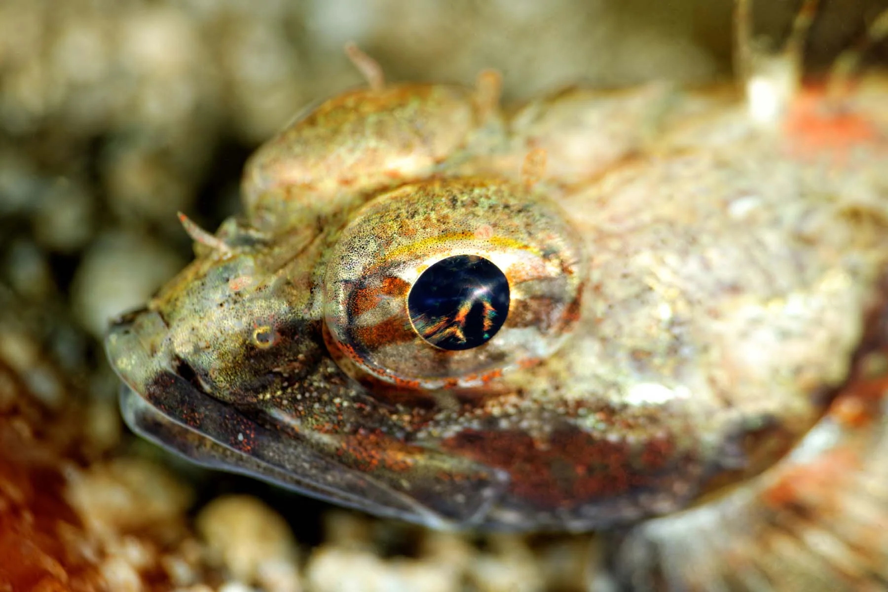 DSC_5896_DxO.jpg