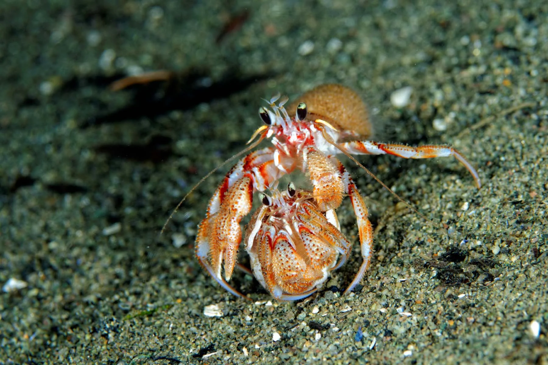 DSC_6164_DxO.jpg