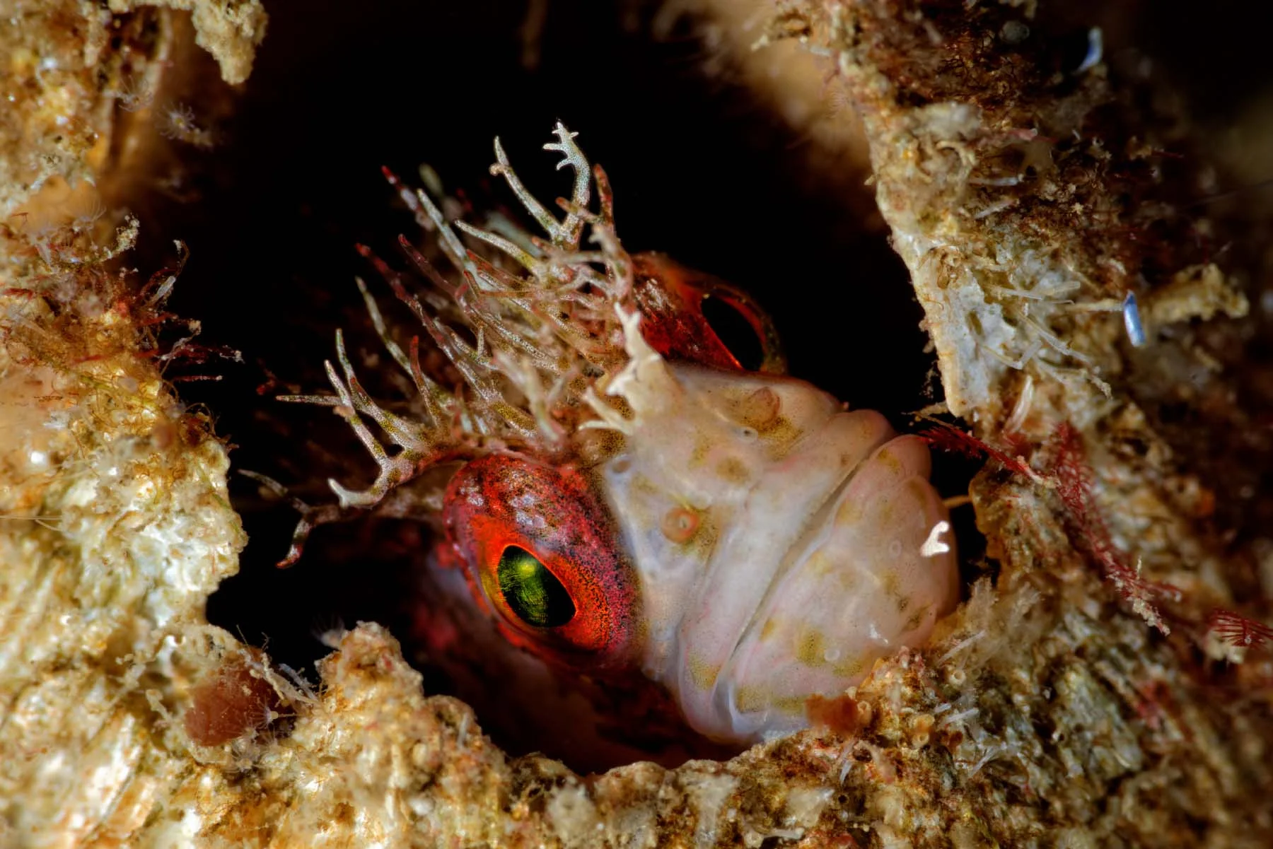 DSC_7790_DxO.jpg