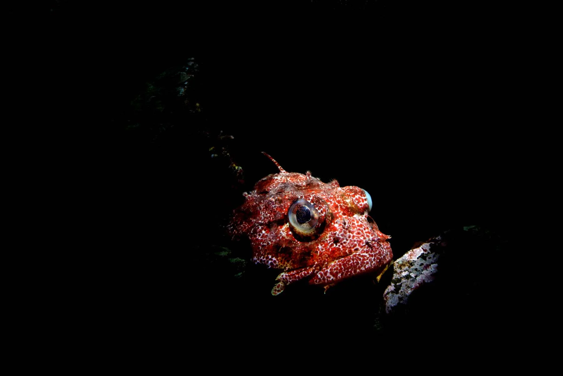 DSC_2780_DxO.jpg