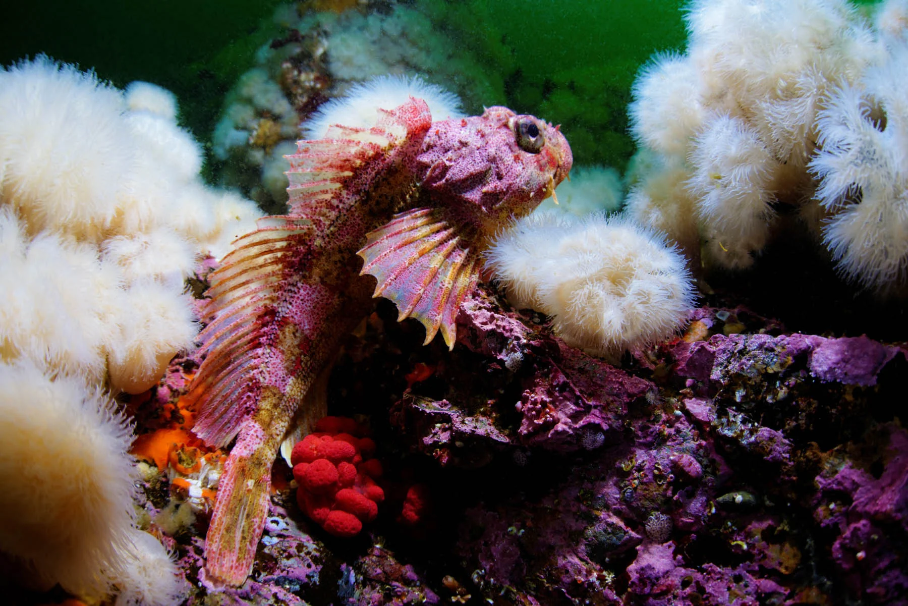DSC_1883_DxO.jpg