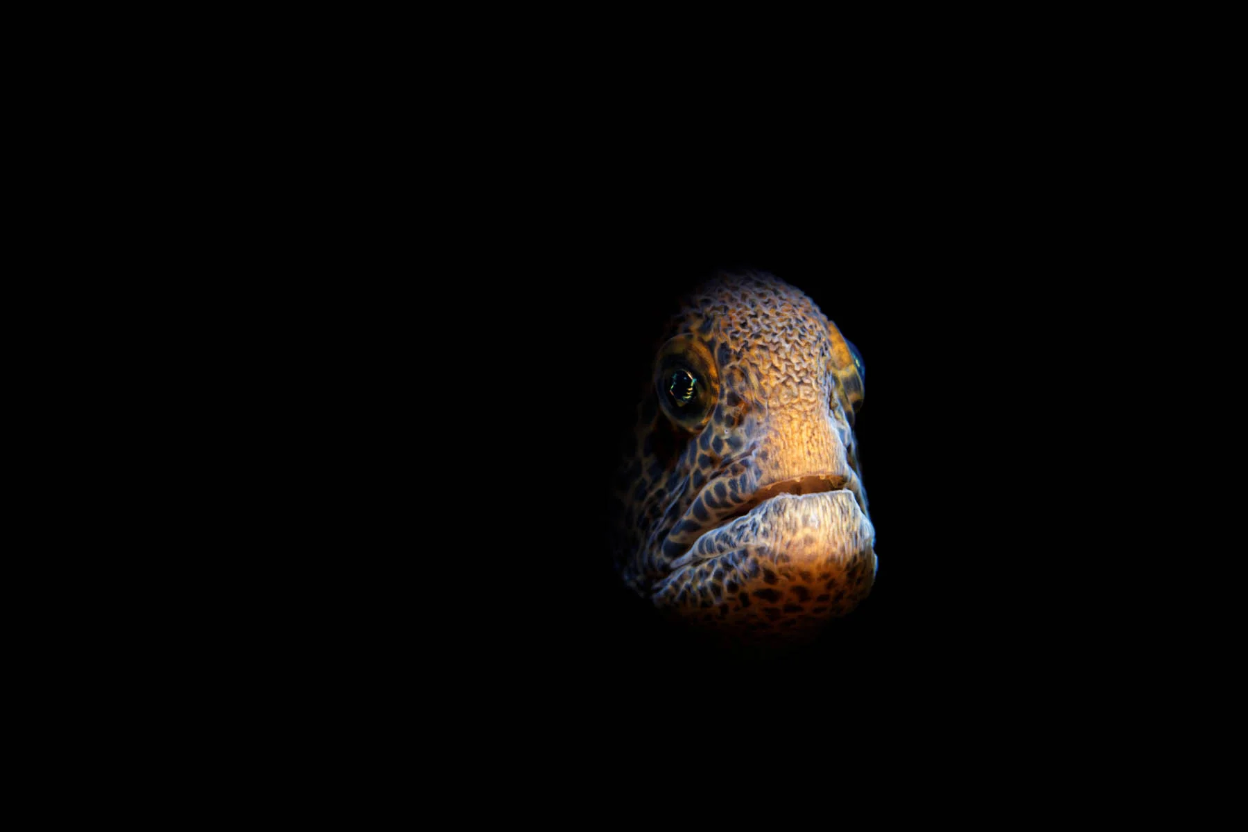DSC_4178_DxO.jpg
