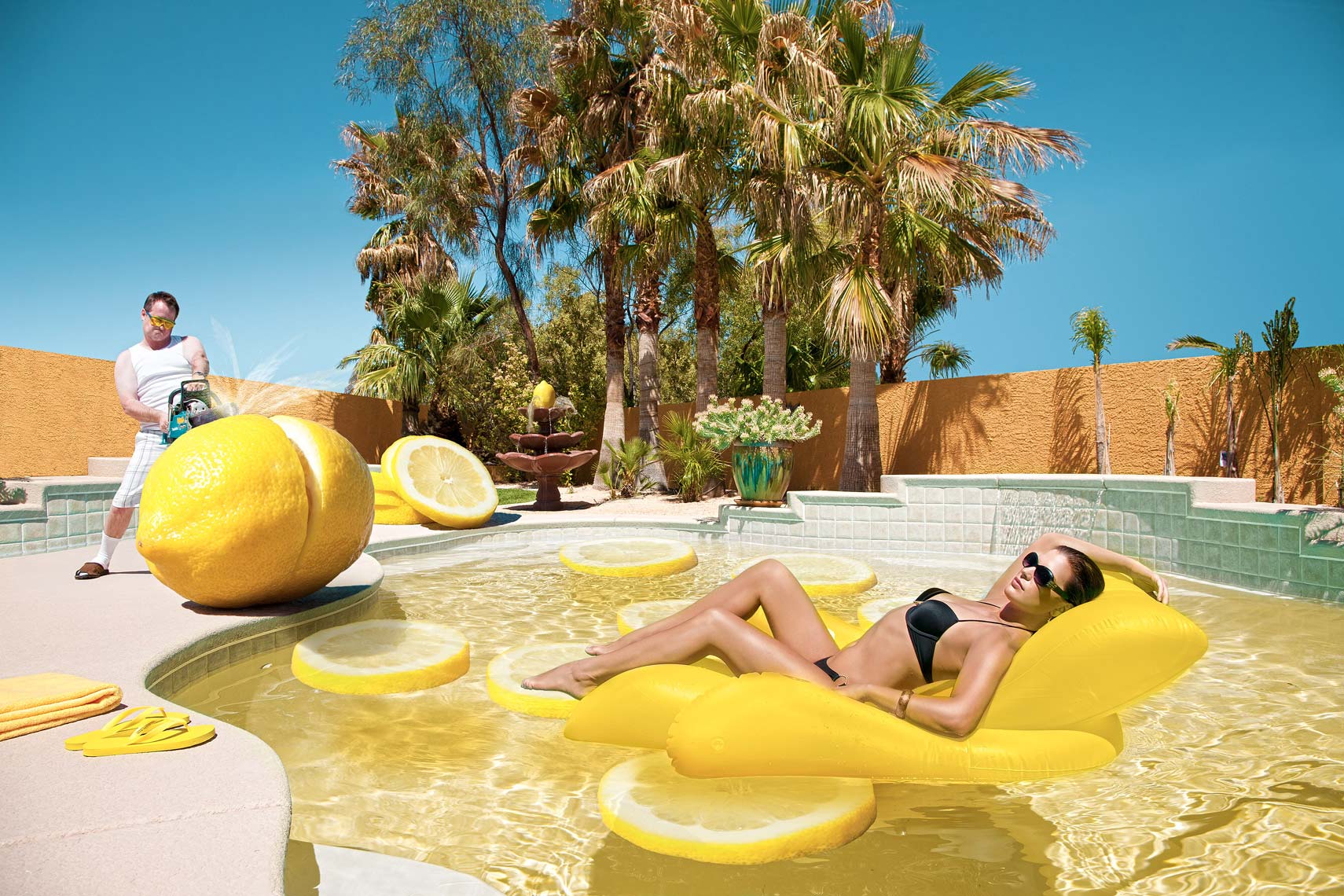 When Life Gives You Lemons