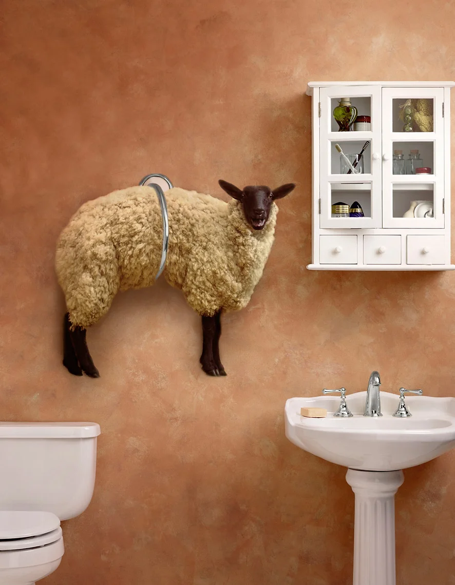 Bayer Cotton Campaign