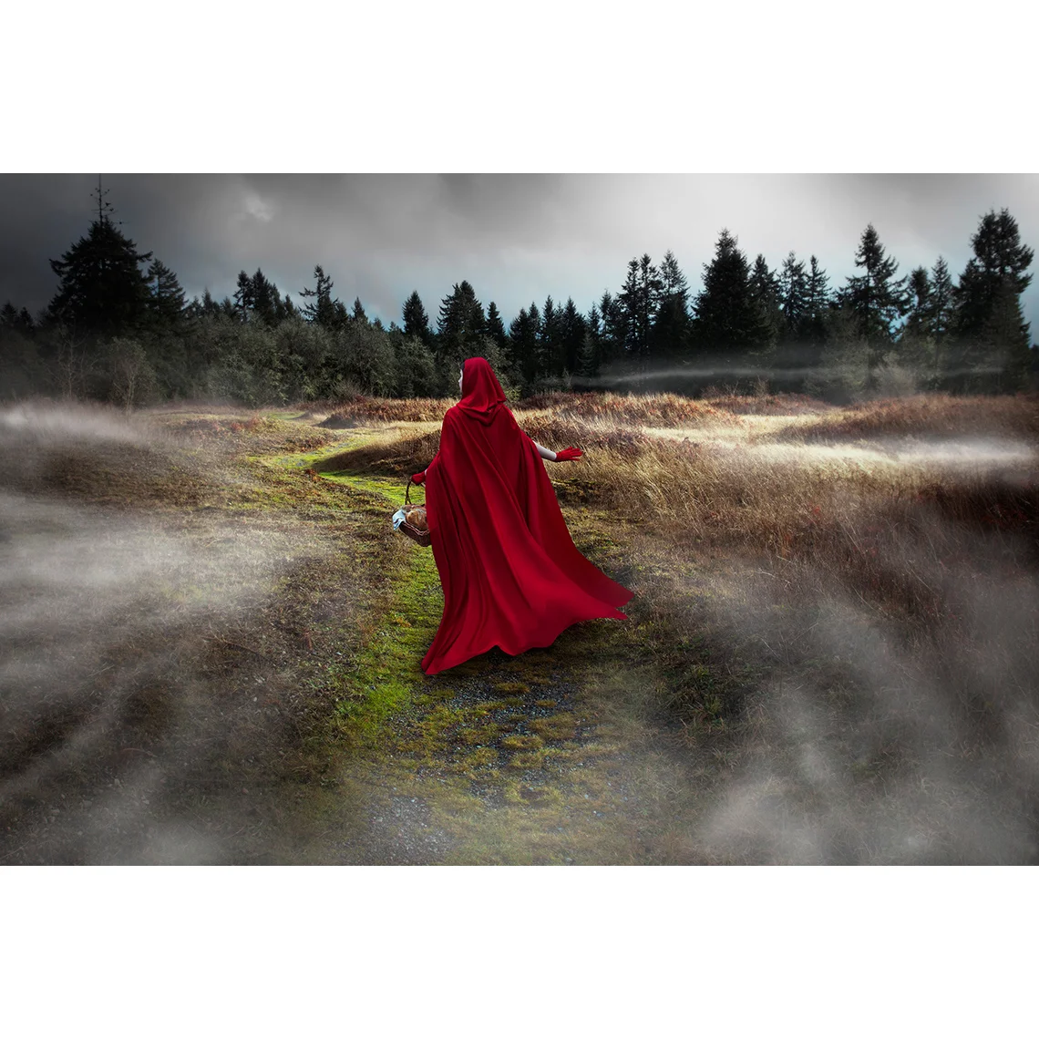 Darryl_Bernstein_Little_Red_Riding_Hood.jpg