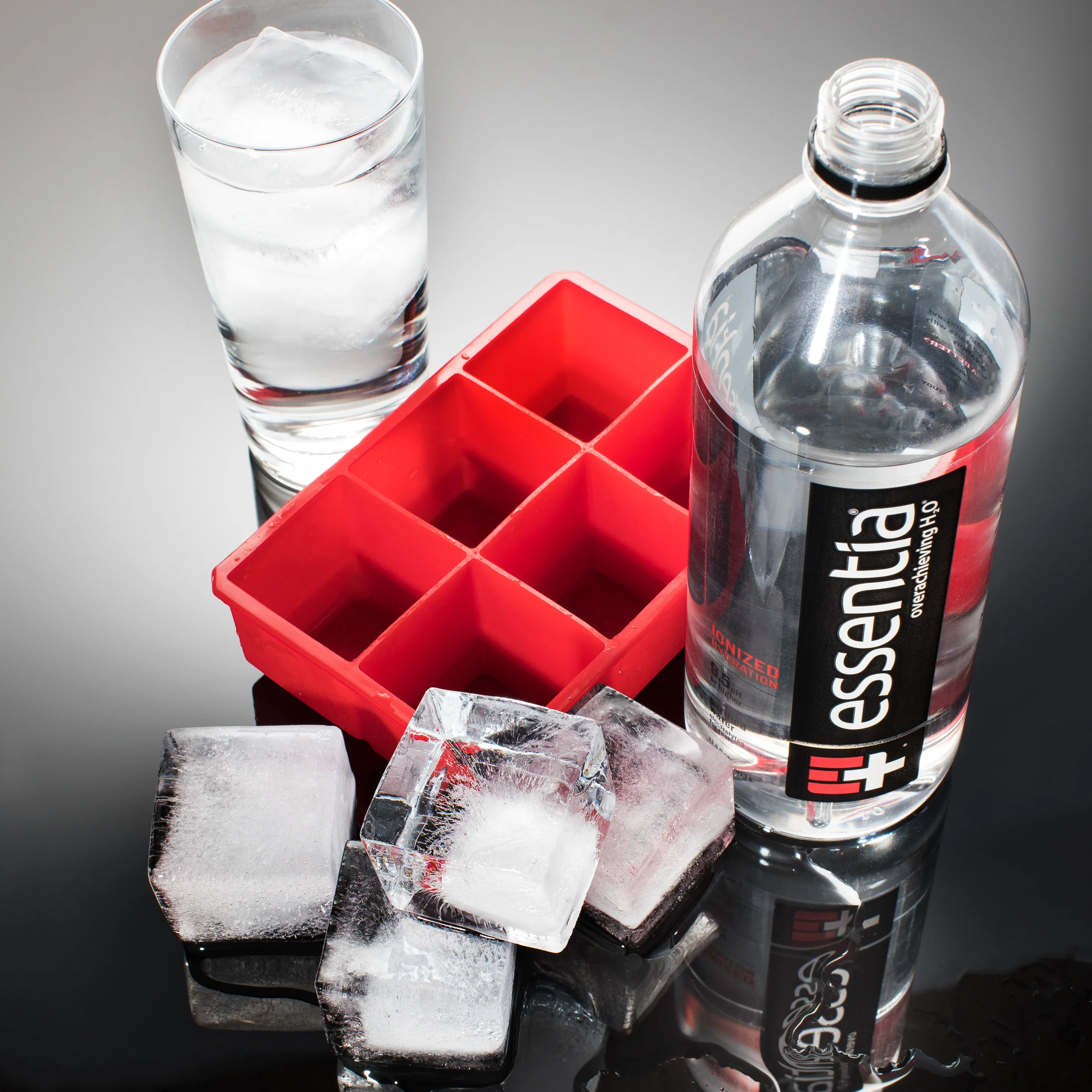 ESS_504_IceTray_FNL.jpg