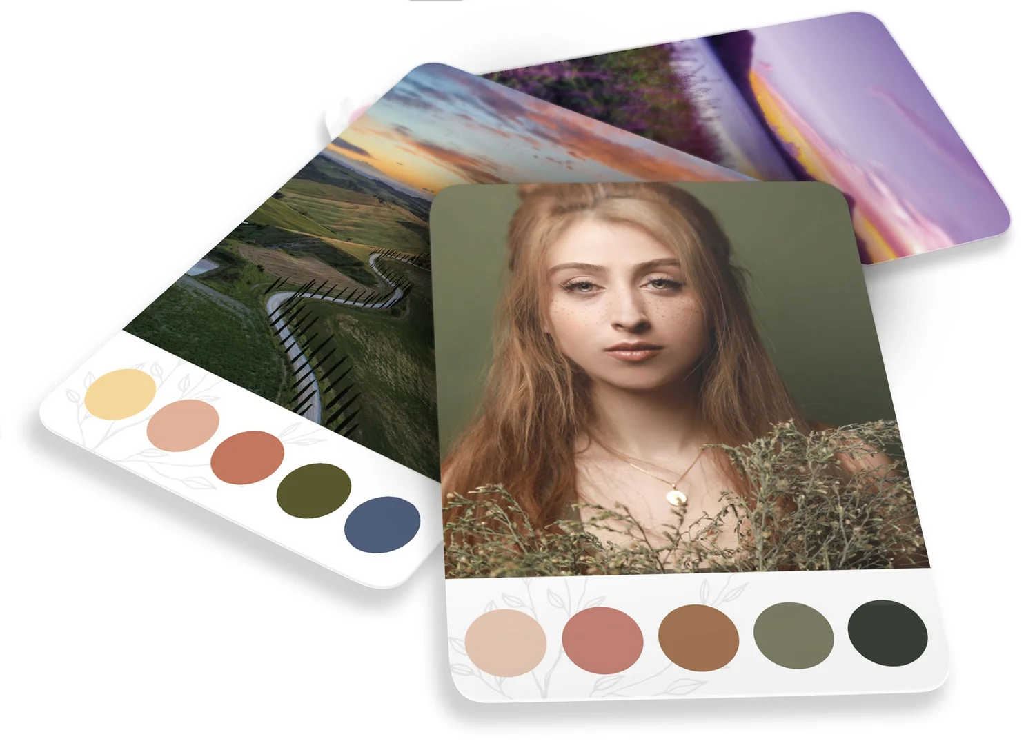 Colorflow - Creator Cards — Ivy Newport