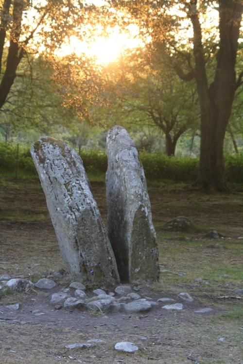 Standing stones at Clava Cairns