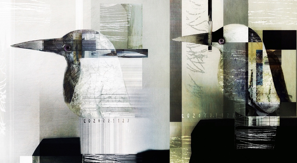 controlled-chaos-project-1.jpg