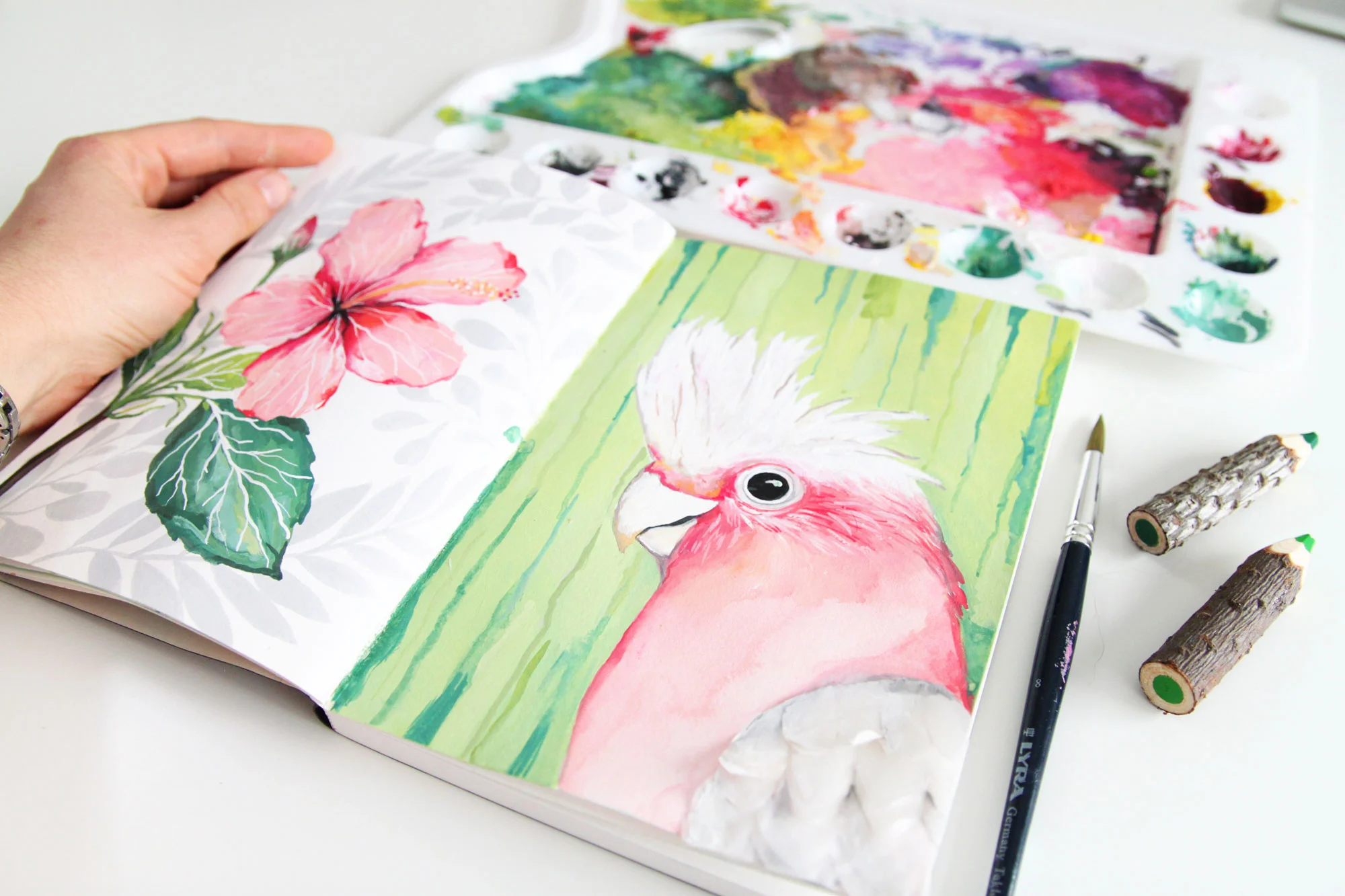 inspired-by-nature-galah_spread.jpg