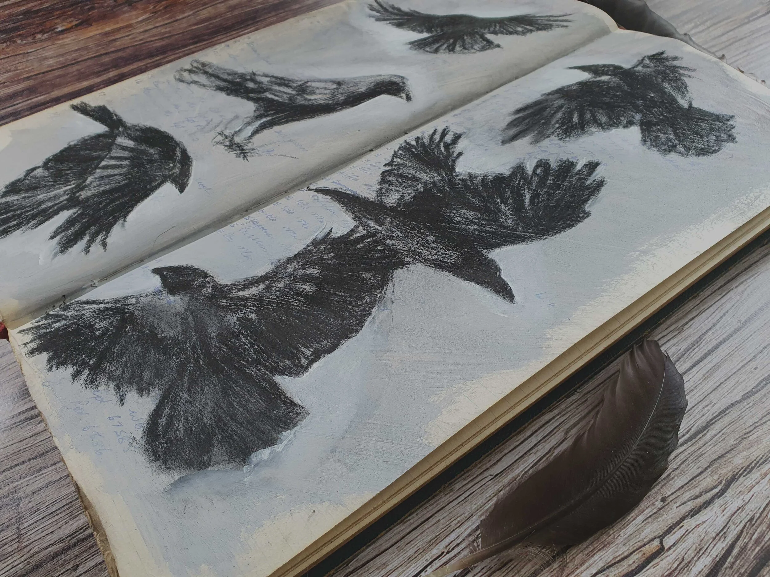 ravens-song-hero.jpg