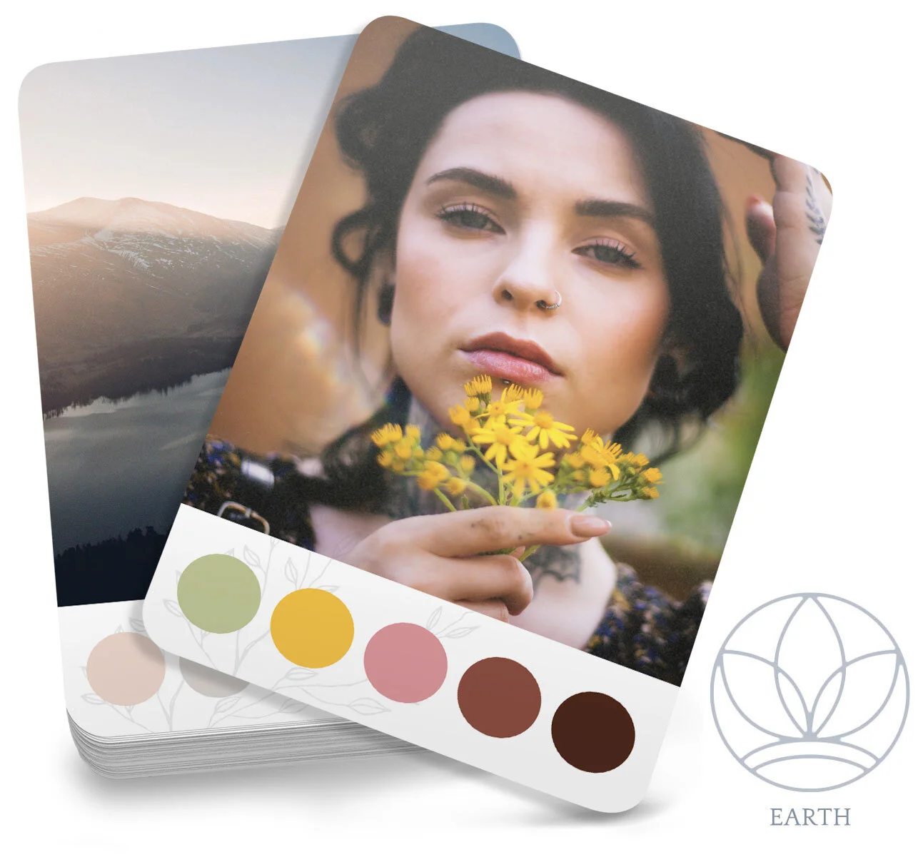 Colorflow - Creator Cards — Ivy Newport