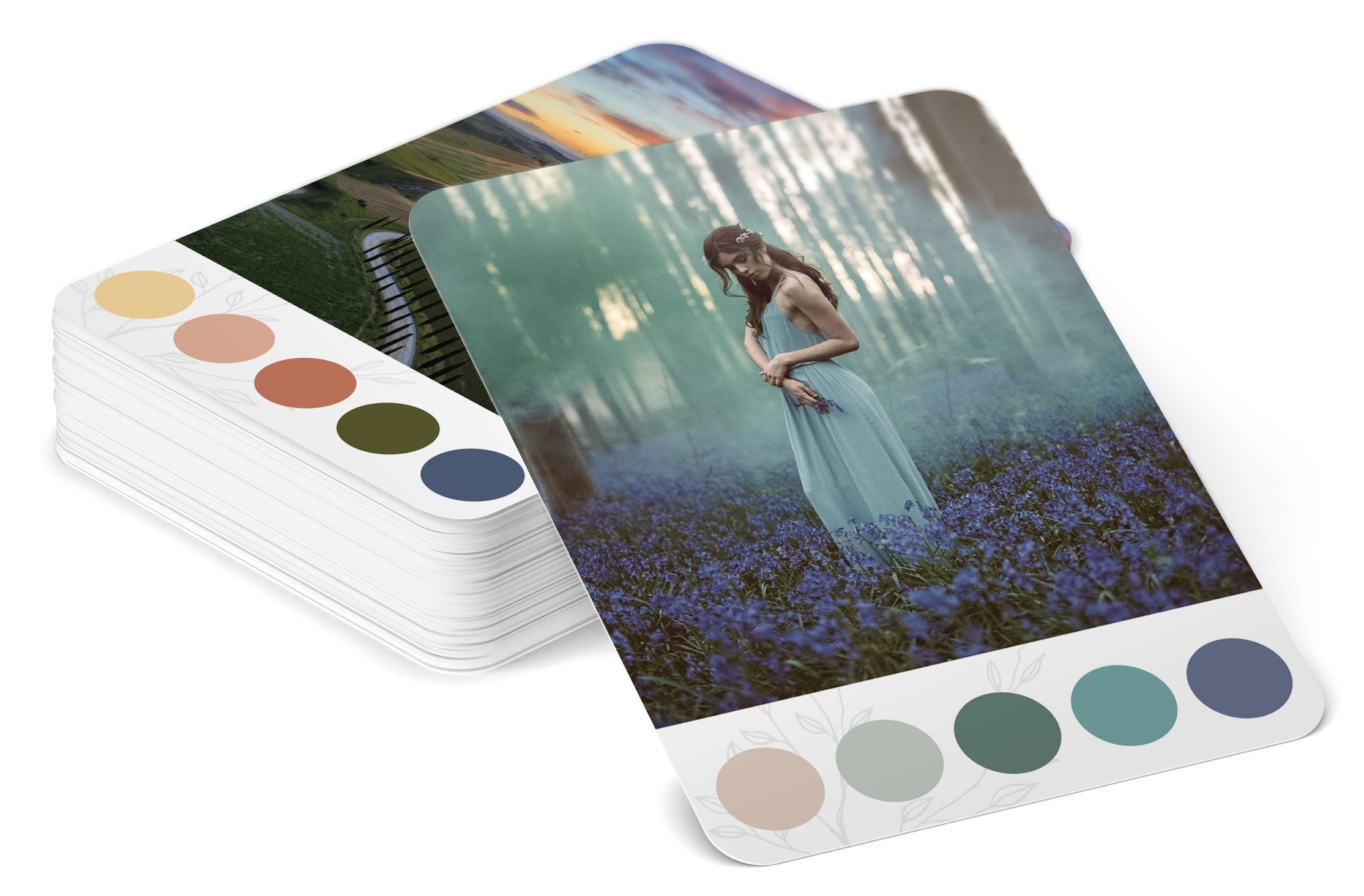 Colorflow - Creator Cards — Ivy Newport